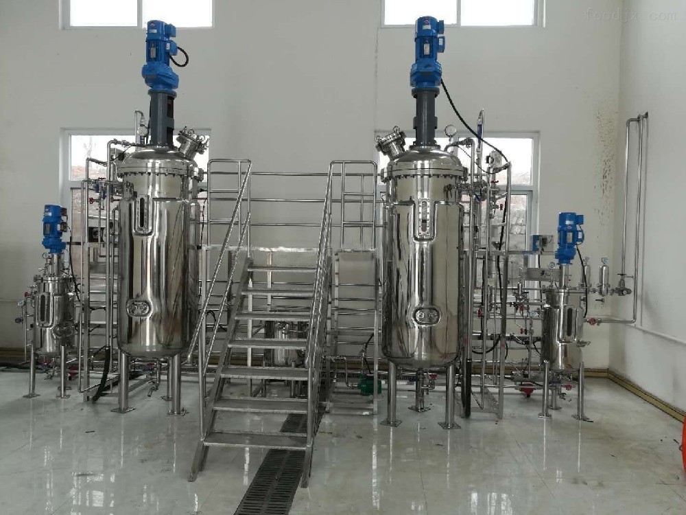 50-500L双级发酵系统